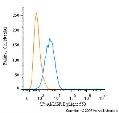 Flow Cytometry: SR-AI/MSR Antibody [DyLight 550] [NBP1-00092R] - A surface stain was performed on Raw264.7 cells with SR-AI/MSR Antibody NBP1-00092R (blue) and a matched isotype control (orange).  Cells were incubated in an antibody dilution of 5 ug/mL for 20 minutes at room temperature. Both antibodies were conjugated to DyLight 550.